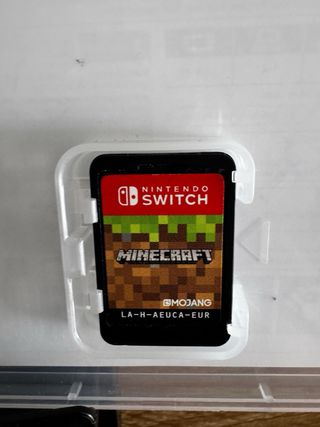 Minecraft Nintendo Switch