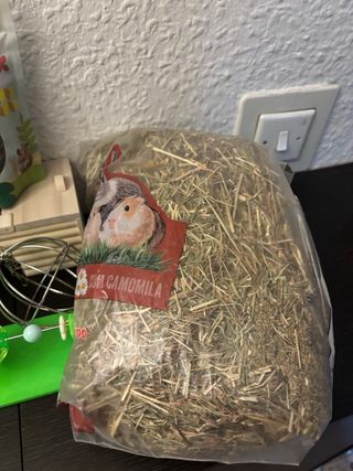 Mega Pack Accesorios Roedores