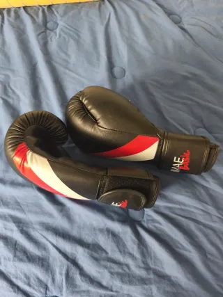 Guantes Boxeo Fujimae Basic Negros