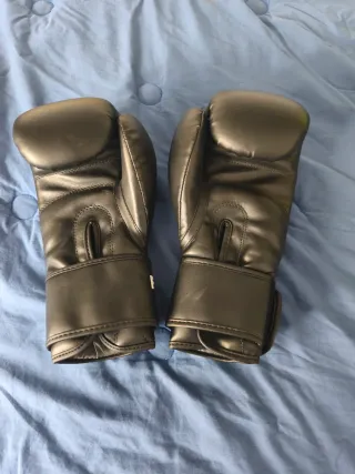 Guantes Boxeo Fujimae Basic Negros