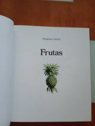 Libro de cocina