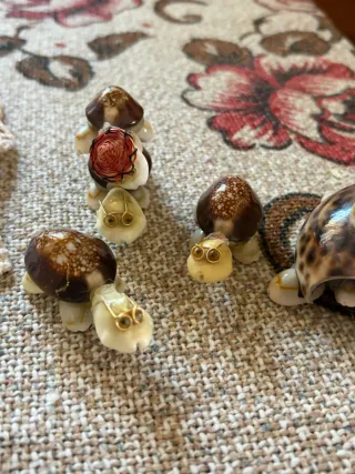 5 Tartarughine Fatte a Mano con Conchiglie