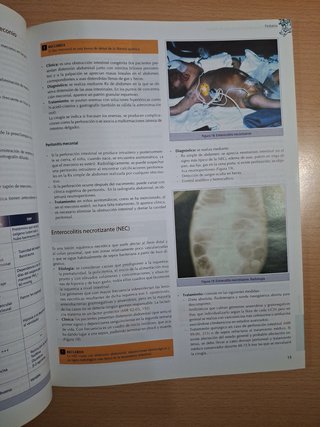 Lote 2 manuales Urología y Pediatría CTO