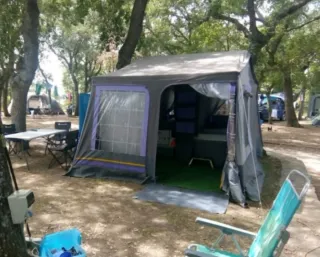 Carro tienda
