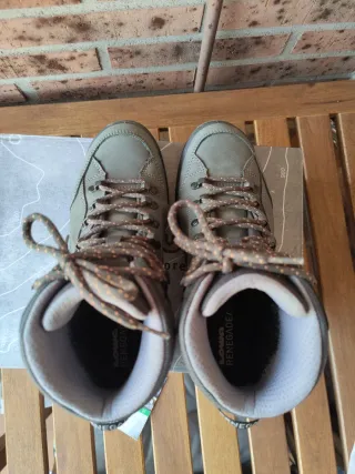 Botas Lowa Renegade EVO GTX MID
