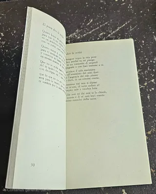 I sonetti dell'amore oscuro