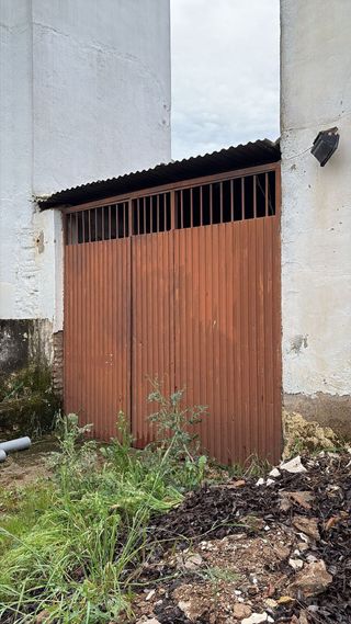Campo Cerca de andujar con olivos y pozo