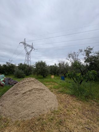 Campo Cerca de andujar con olivos y pozo