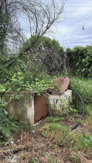 Campo Cerca de andujar con olivos y pozo