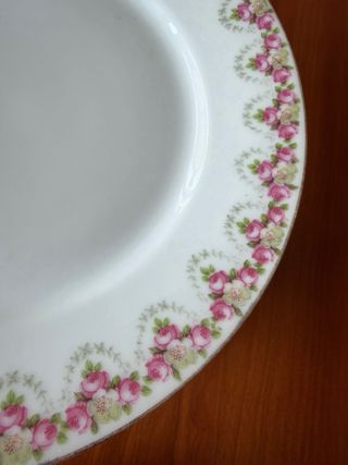 PLATOS ANTIGUOS PORCELANA FRANCESA