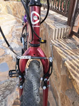 Bicicleta Rockrider 5.0 Mujer