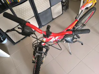 Bicicleta Regina 24 Roja