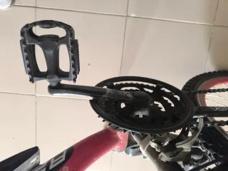 Bicicleta Regina 24 Roja