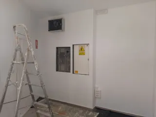 Pladurista económico
