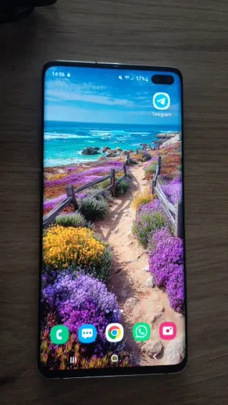 Samsung S10+, cargador original, regalo funda UAG