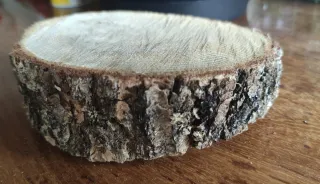 2 Rodajas de Roble Seco