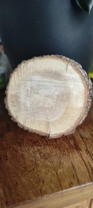 2 Rodajas de Roble Seco