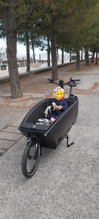 Bicicleta Eléctrica Carga para niños Urban Arrow