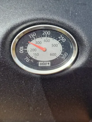 Barbacoa Weber Nero e Argento