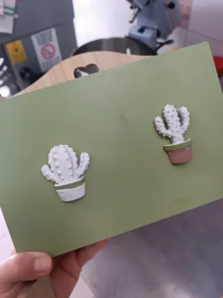 Organizzatore da parete con cactus