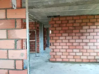 Paleta oficial fontanero pelador pintura toda