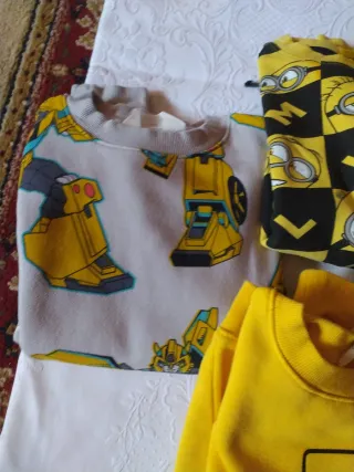 Lotto Felpe Bambino LEGO e Minions