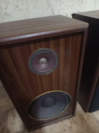 Pareja de Altavoces Marrones y Negros