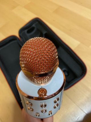 Micrófono Karaoke Portátil Rosa con Estuche