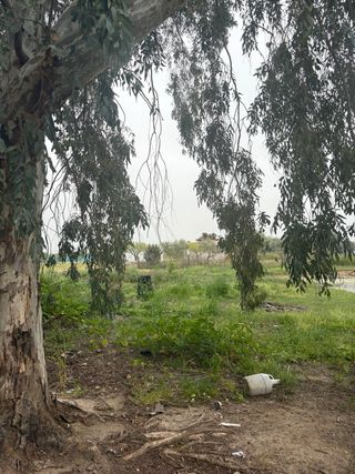 Parcela rustica