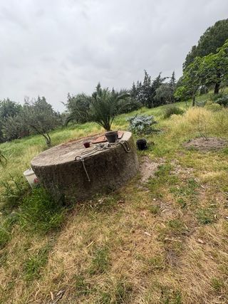 Parcela rustica