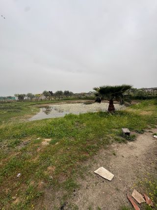 Parcela rustica