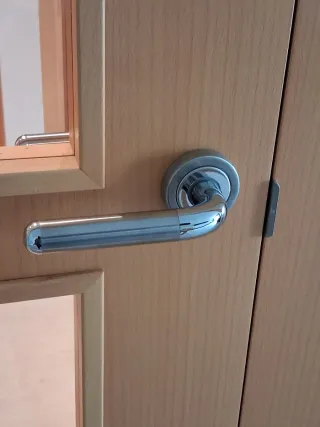 Puerta doble madera maciza y cristal