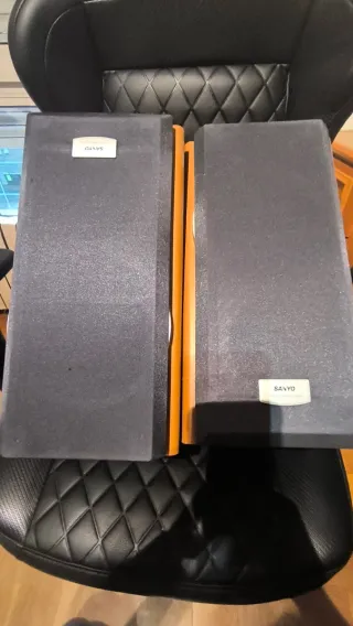 Pareja Altavoces Sanyo SX-088