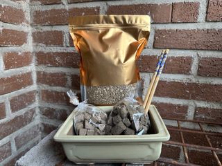 Kit Trasplante Bonsai Maceta Cerámica
