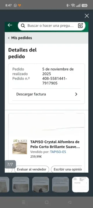 Alfombra TAPISO Crystal 300x400cm Marrón Beige