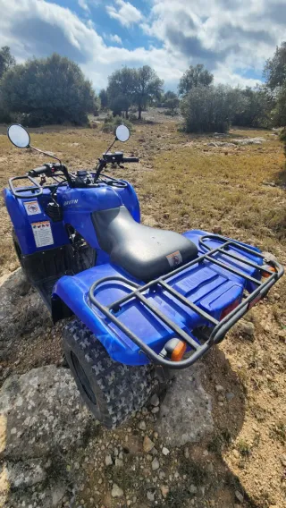 Yamaha Bruin 250