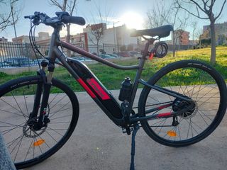 Bicicleta Eléctrica Riverside 500E