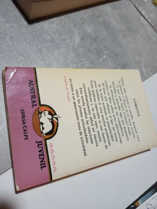 Corinna, Remate welsh 1987