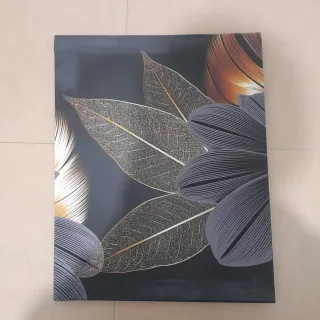Cuadro Decorativo Hojas y Plumas 50cmx40cm
