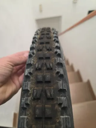 Maxxis Minion DHF 29x2.50 EXO TR