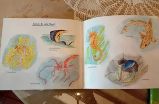 Enciclopedia de niños, tres libros