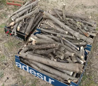 Leña de olivo para barbacoa