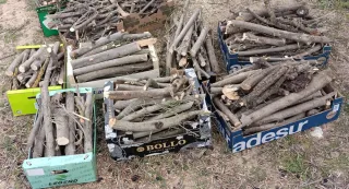 Leña de olivo para barbacoa