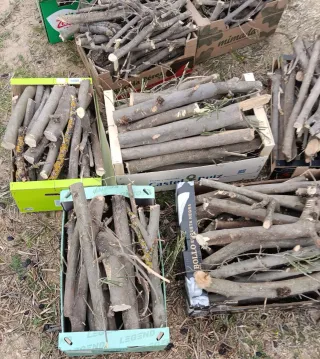 Leña de olivo para barbacoa