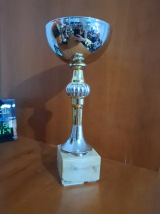 8 Trofeos para regalar en competiciones