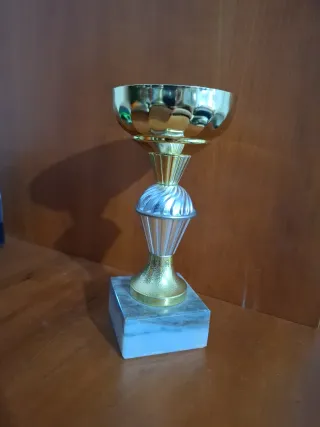 8 Trofeos para regalar en competiciones