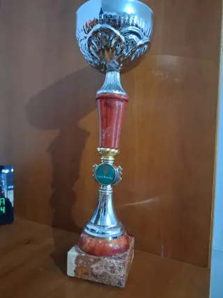 8 Trofeos para regalar en competiciones