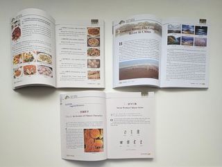 Chinese Bridge, a collection of resources