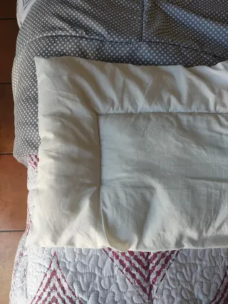Almohada LEN 35x55 cm