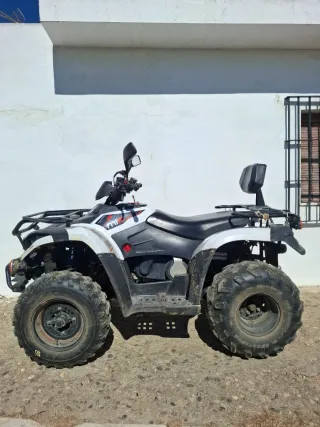 Quad Linhai 300 4x4